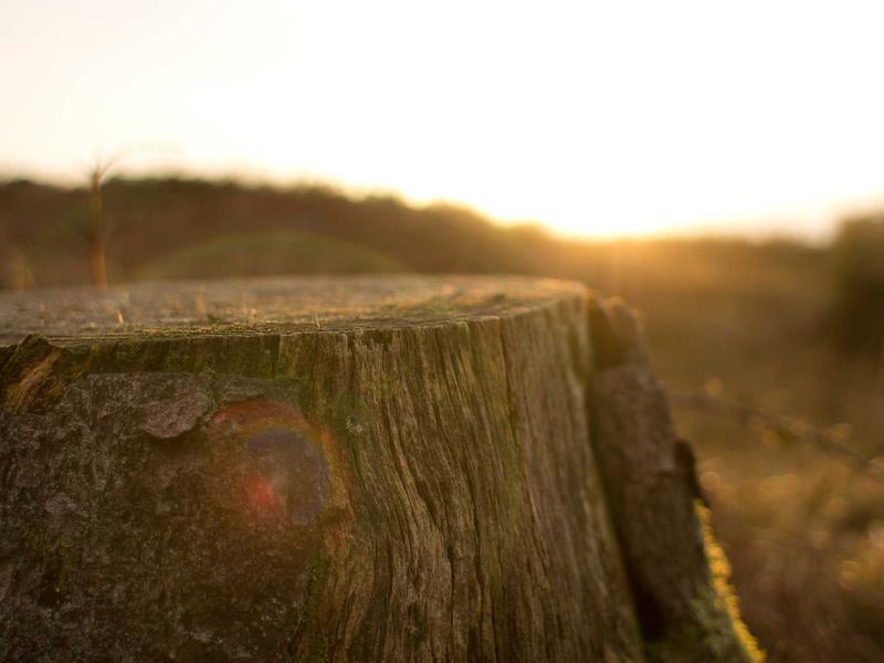 sudoku pattern learning screenshot 3